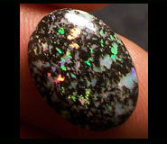 Opales Léopard Sinaloa Hidalgo Mexique