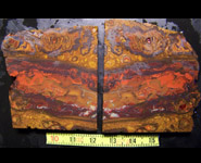 Opale Koroit brute des mines du Queensland Australie