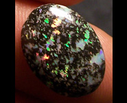 Opale Léopard du Mexique