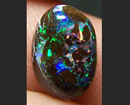 Opale Koroit des mines du Queensland Australie