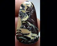 OPALE KOROIT 36.60 CT QUEENSLAND