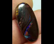 OPALE KOROIT 14.60 CT QUEENSLAND