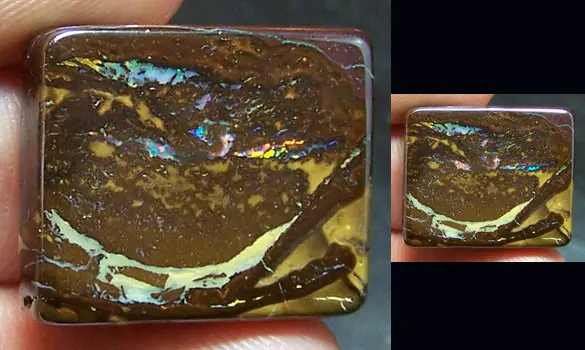 OPALE KOROIT POLIE 36 CT QUEENSLAND