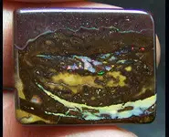 OPALE KOROIT POLIE 36 CT QUEENSLAND