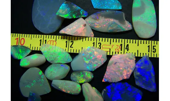 19 OPALES NOIRE RUB 32 CT L.RIDGE