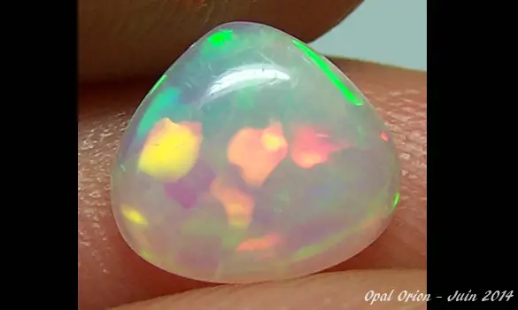 OPALE HARLEQUIN 1.05 CT WELO