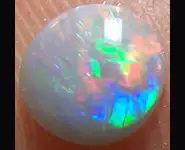 SOLID BLACK OPAL 0.40 CT AUSTRALIA