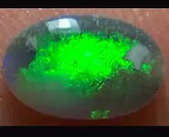 SOLID BLACK OPAL 0.40 CT AUSTRALIA