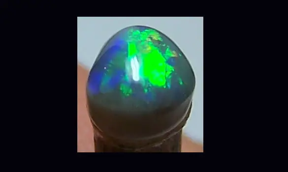 SOLID BLACK OPAL 0.45 CT AUSTRALIA