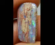 BOULDER OPAL WOOD FOSSIL AUSTRALIA
