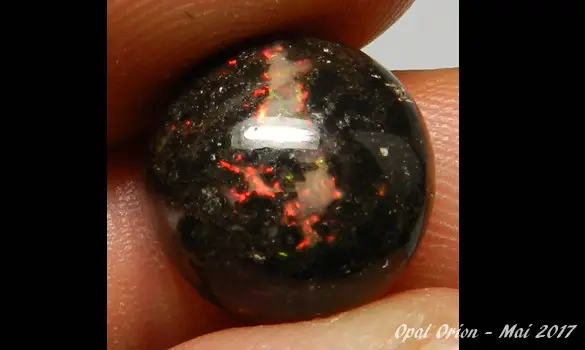 OPALE LEOPARD 7.95 CT PIERRE MEXIQUE