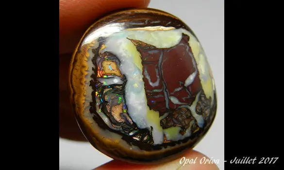 OPALE KOROIT 43.20 CT PIERRE AUSTRALIE