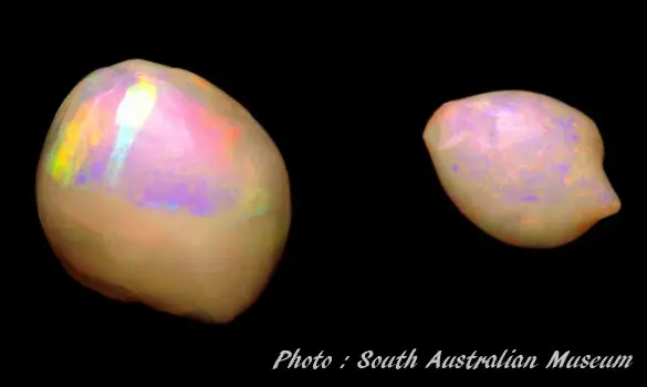 Perles opalisées 1ère découverte mondial