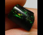 BOIS FOSSILE OPALISE INDONESIE