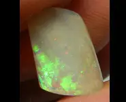 FOSSILE MARIN OPALISE AUSTRALIE