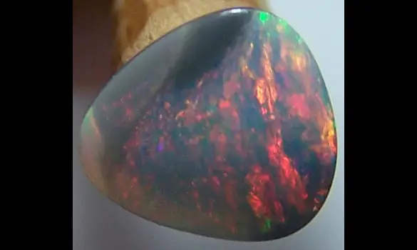 SOLID BLACK OPAL 0.60CT L. Ridge