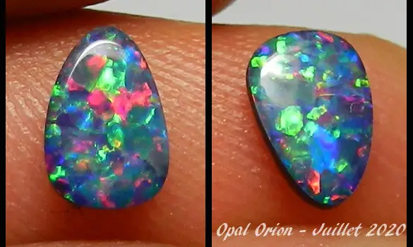 OPAL DOUBLET SHELL FOSSIL AUSTRALIA