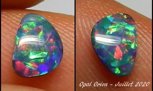 OPAL DOUBLET SHELL FOSSIL AUSTRALIA