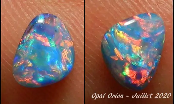 OPAL DOUBLET SHELL FOSSIL AUSTRALIA