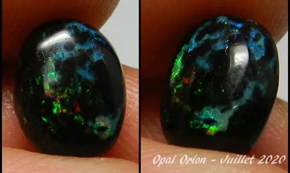 BOIS FOSSILE OPALISE INDONESIE