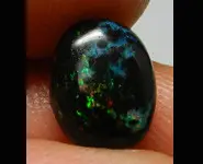 BOIS FOSSILE OPALISE INDONESIE