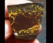 OPALE BRUTE COLLECTION QUEENSLAND