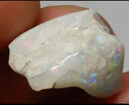 FOSSILE OPALE COQUILLAGE Opalisé