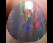SOLID BLACK OPAL 1.15CT L. Ridge