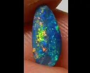 OPAL DOUBLET SHELL FOSSIL AUSTRALIA