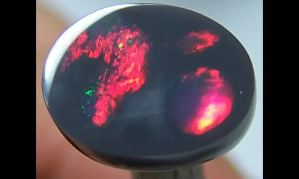 SOLID BLACK OPAL 1.65CT L. Ridge