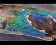 Bois fossilisé opalisé pétrifié USA