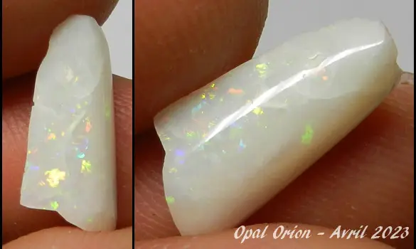 ROSTRE BELEMNITE FOSSILE Opalisé