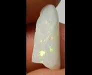 BELEMNITE OPALIZED FOSSIL AUSTRALIA