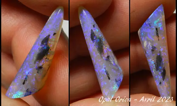 BELEMNITE OPALIZED FOSSIL AUSTRALIA