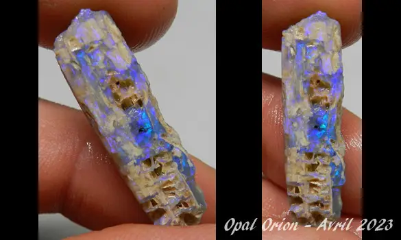 WOOD FOSSIL OPAL AUSTRALIA L. RIDGE