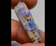 WOOD FOSSIL OPAL AUSTRALIA L. RIDGE
