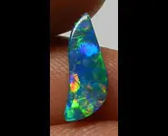 OPAL DOUBLET SHELL FOSSIL AUSTRALIA