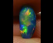 OPAL DOUBLET SHELL FOSSIL AUSTRALIA