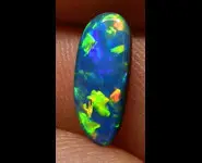 OPAL DOUBLET SHELL FOSSIL AUSTRALIA