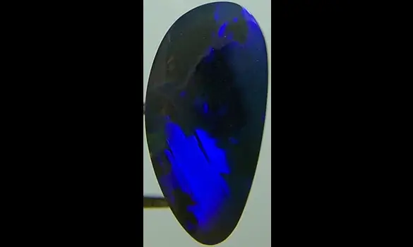 SOLID BLACK OPAL 6.35 CT L. RIDGE
