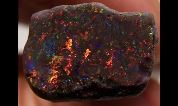 ANDAMOOKA OPALE NOIRE BRUTE 9.90 CT