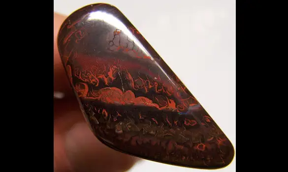 CUT KOROIT OPAL 24 CT AUSTRALIA, QLD