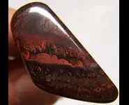 OPALE KOROIT POLIE 24 CT AUSTRALIE