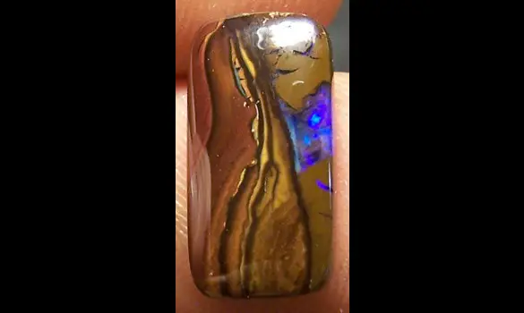 OPALE KOROIT 6 CT QUEENSLAND