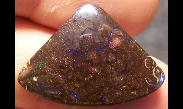 OPALE KOROIT 16 CT QUEENSLAND