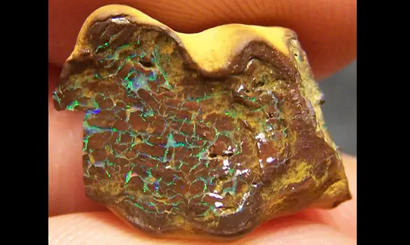 OPALE KOROIT BRUTE 13.30 CT OPALTON