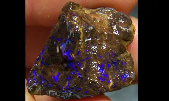 OPALE KOROIT BRUTE 33 CT QUEENSLAND