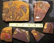 ROUGH KOROIT OPAL 280 CT QUEENSLAND