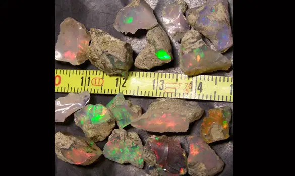 OPALES BRUTES 44 CT WELO ETHIOPIE
