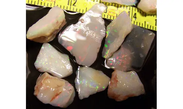 12 SOLID OPALES RUB 60 CT C. PEDY